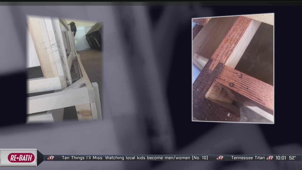 Bed bug infestation forces Decatur man, 82, to leave home